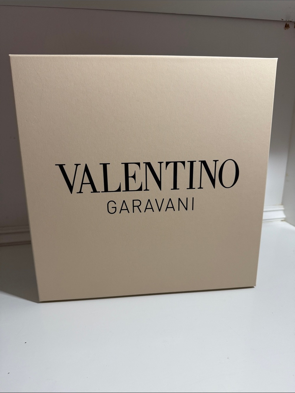 Valentino Empty Handbag Box